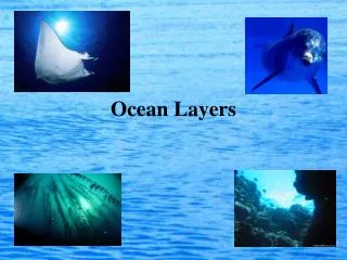 Ocean Layers