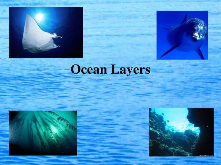 ocean layers