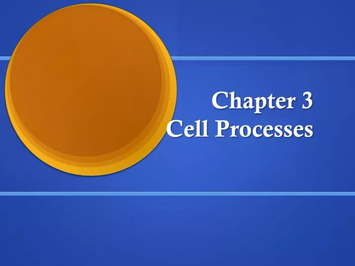 chapter 3 cell processes