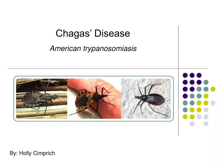 chagas disease american trypanosomiasis