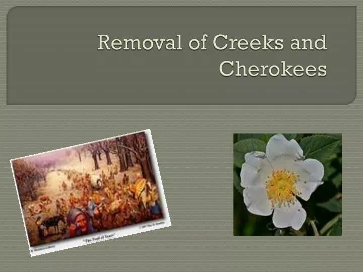 removal of creeks and cherokees