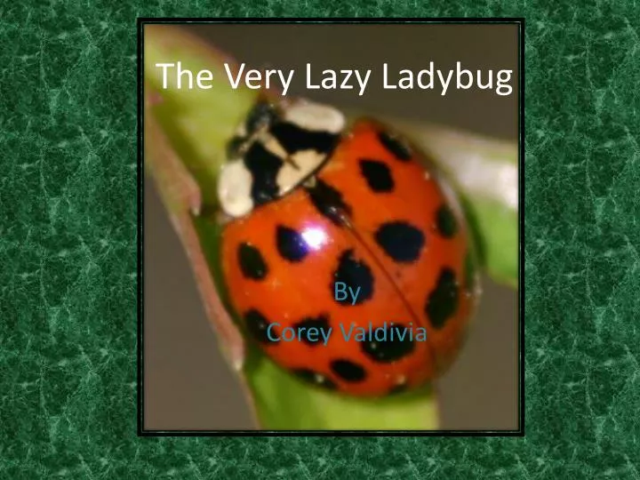 the very lazy ladybug