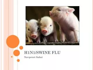 H1N1/SWINE FLU