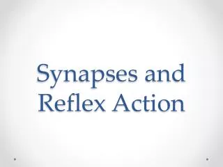 Synapses and Reflex Action