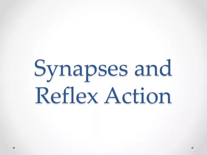 synapses and reflex action