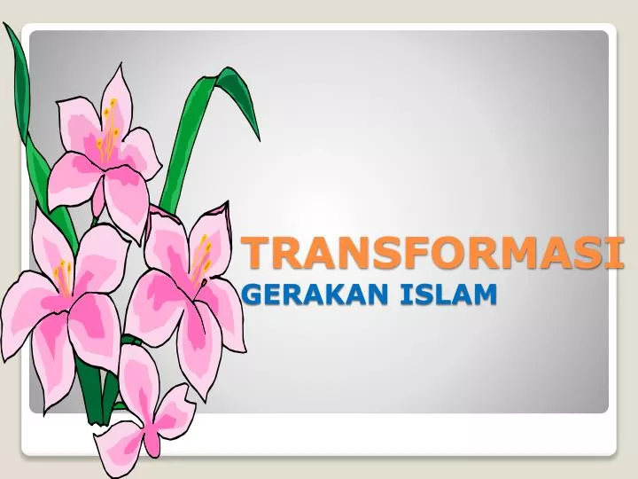 transformasi gerakan islam