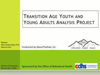 Transition Age Youth and Young Adults Analysis Project