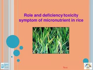 Role and deficiency/toxicity symptom of micronutrient in rice