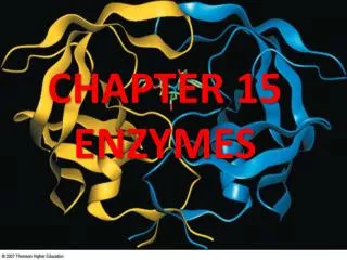 CHAPTER 15 ENZYMES