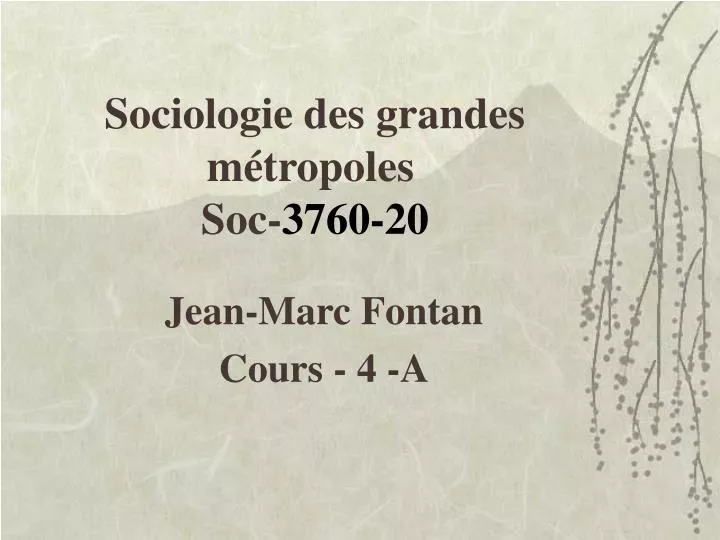 sociologie des grandes m tropoles soc 3760 20