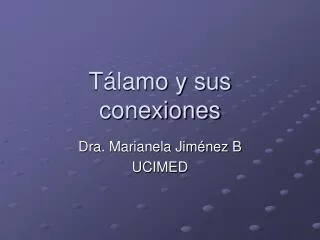 t lamo y sus conexiones
