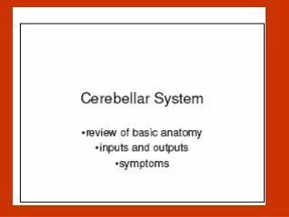 Cerebellum External Configurations