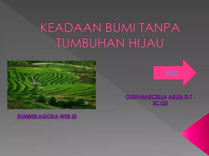 keadaan bumi tanpa tumbuhan hijau