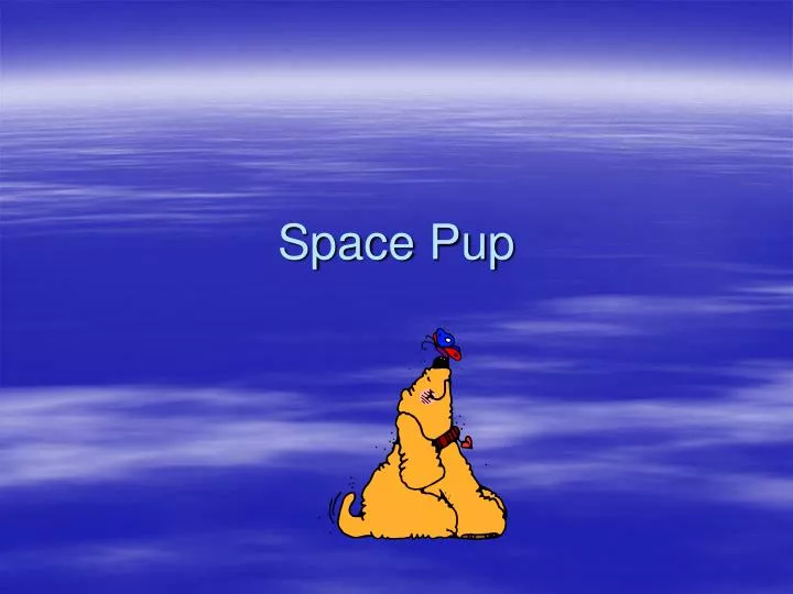 space pup