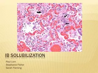 IB Solubilization