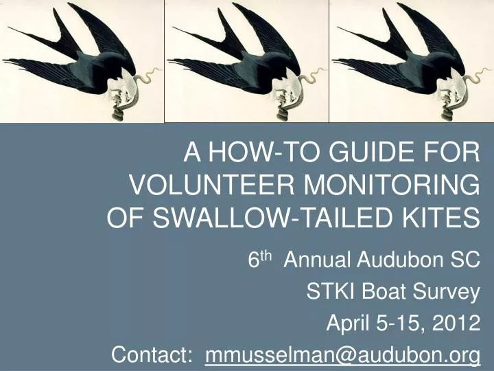 a how to guide for volunteer monitoring of swallow tailed kites
