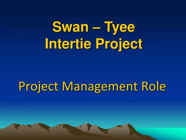 project management role