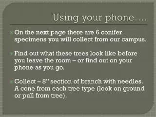 Using your phone….