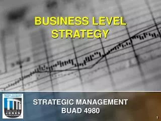 BUSINESS LEVEL STRATEGY