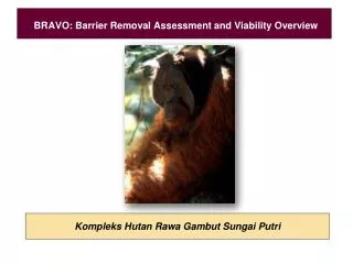 bravo barrier removal assessment and viability overview