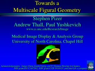 Towards a Multiscale Figural Geometry