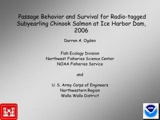 Passage Behavior and Survival for Radio-tagged Subyearling Chinook Salmon at Ice Harbor Dam, 2006