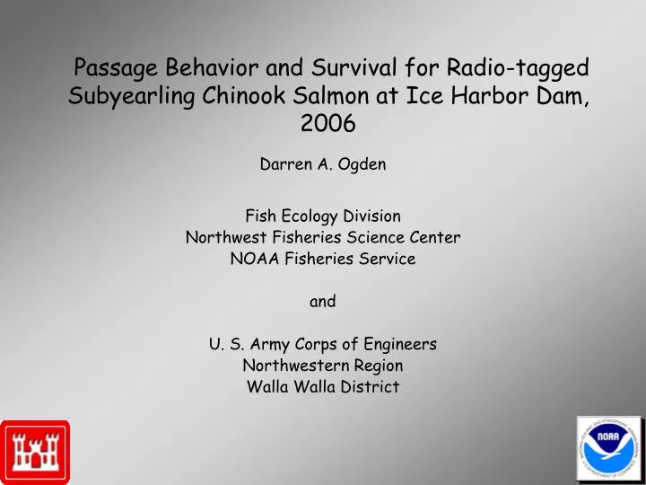 passage behavior and survival for radio tagged subyearling chinook salmon at ice harbor dam 2006