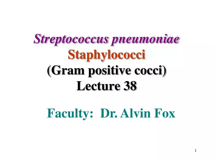 streptococcus pneumoniae staphylococci gram positive cocci lecture 38