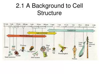 2.1 A Background to Cell Structure
