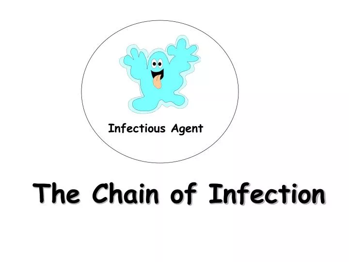 the chain of infection