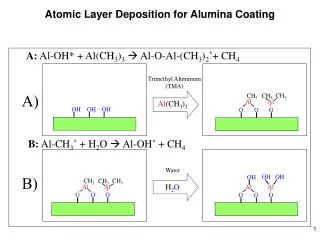 Atomic Layer Deposition for Alumina Coating