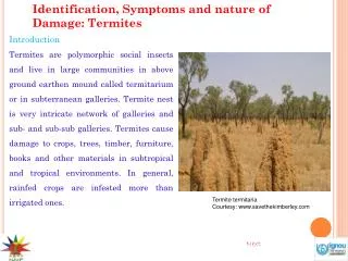 Identification, Symptoms and nature of Damage: Termites