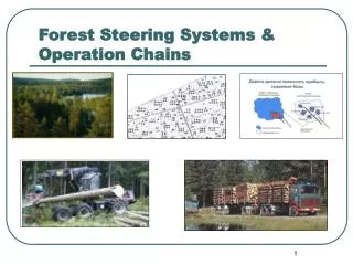 Forest Steering Systems &amp; Operation Chains