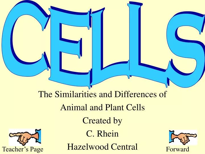 the similarities and differences of animal and plant cells created by c rhein hazelwood central