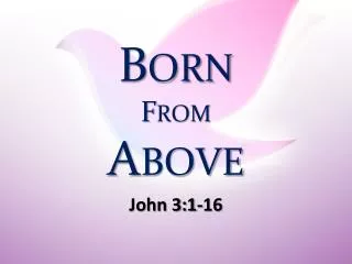 Born From Above