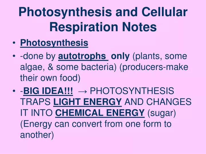 photosynthesis and cellular respiration notes