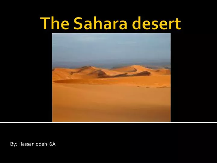 the sahara desert