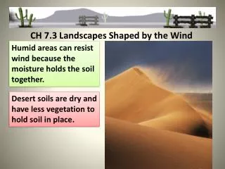 CH 7.3 Landscapes Shaped by the Wind