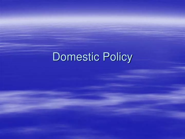 domestic policy