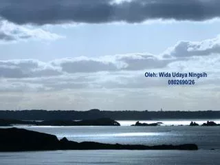 oleh wida udaya ningsih 0802690 26