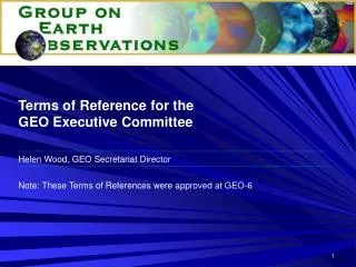 Terms of Reference for the GEO Executive Committee