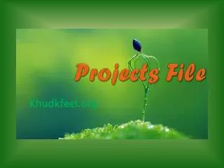 Projects File