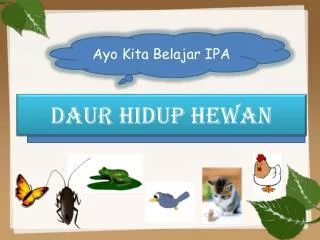 daur hidup hewan