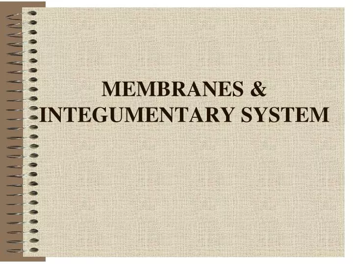 membranes integumentary system