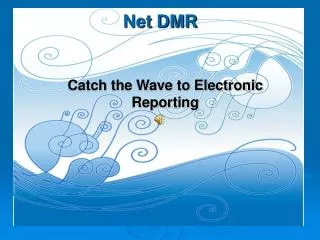 Net DMR