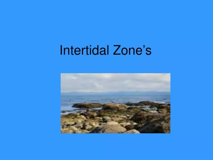 intertidal zone s