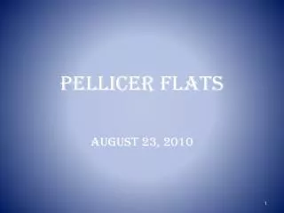 Pellicer Flats