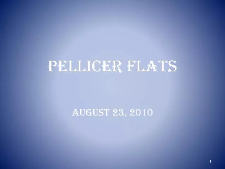 pellicer flats