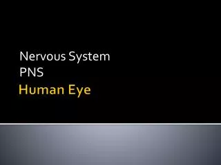 Human Eye