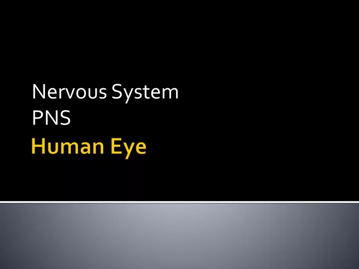 nervous system pns